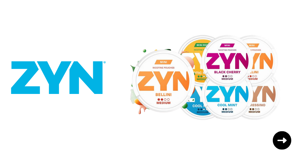 Zyn EURO Large Variety of Flavors