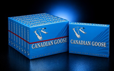 Canadian Goose Lights (20 Pack)