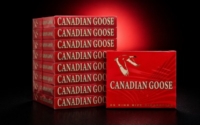 Canadian Goose Full - 25 Pack
