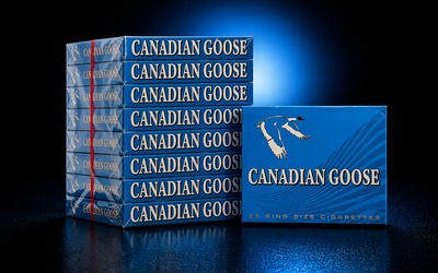 Canadian Goose Lights (20 Pack)